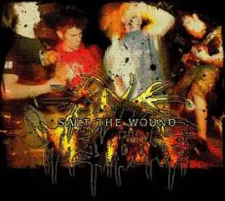 Salt The Wound : Demo 2007